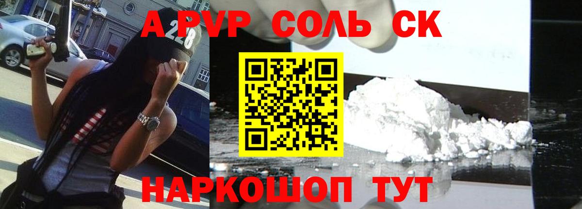 A PVP СК КРИС Саратов