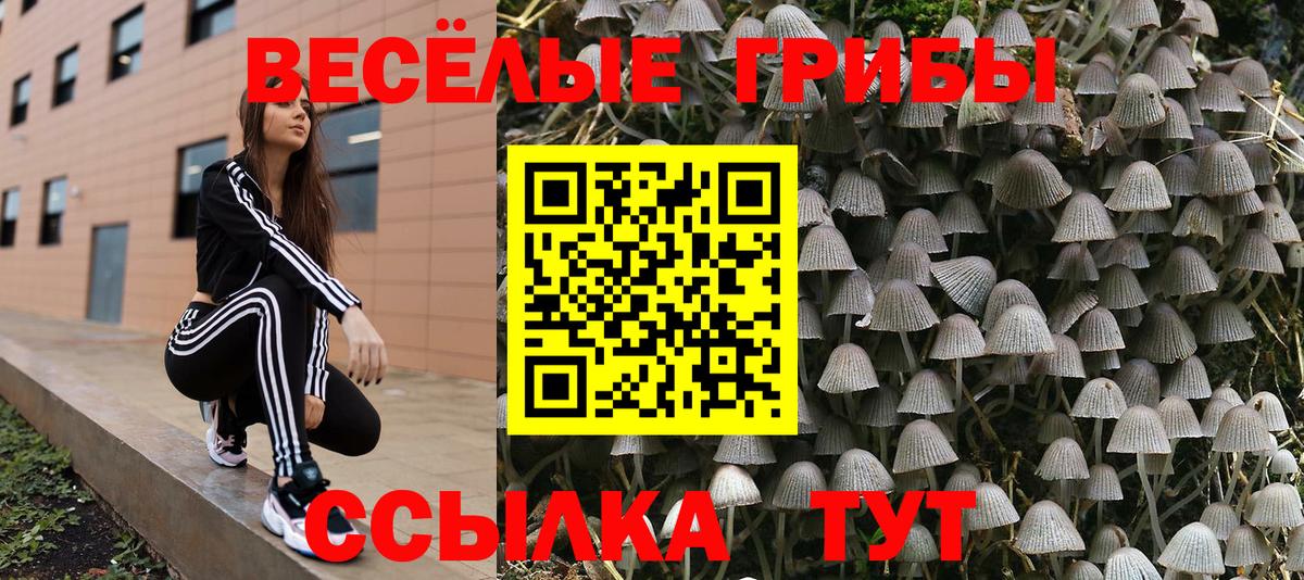 Псилоцибиновые грибы MAGIC MUSHROOMS  Вход с VPN  Псилоцибиновые грибы Magic Shrooms  Саратов 