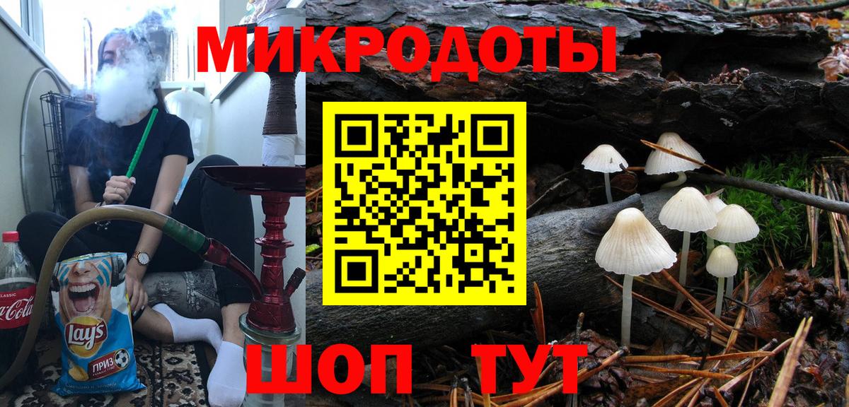 Псилоцибиновые грибы Psilocybine cubensis Саратов